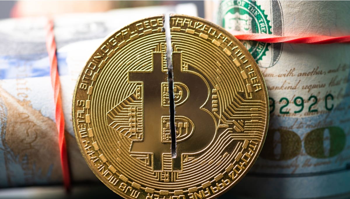 Bitcoin halving is een unieke koopkans, zegt vermogensbeheerder