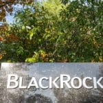 BlackRock's bitcoin ETF bereikt zeldzame mijlpaal na successtart