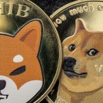 Een afbeelding van muntjes van de crypto memecoins dogecoin (DOGE) en shiba inu (SHIB)