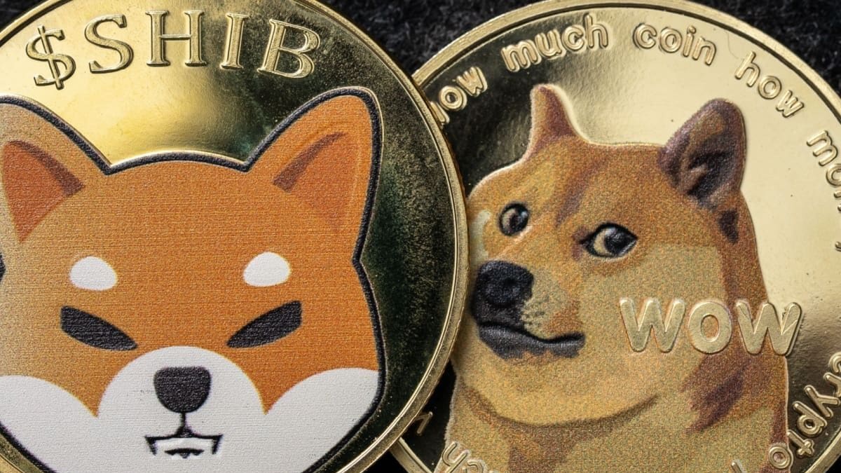 Een afbeelding van muntjes van de crypto memecoins dogecoin (DOGE) en shiba inu (SHIB)