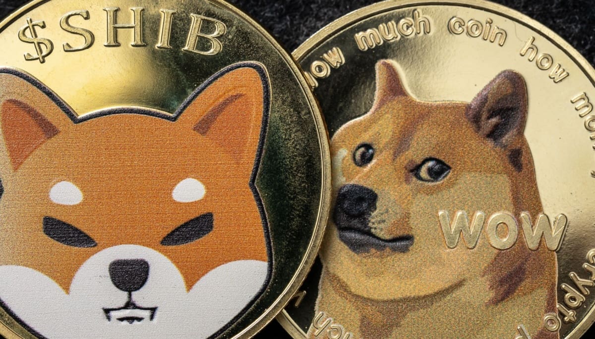 Shiba inu en dogecoin opvallend sterk tijdens recente crash, toont data