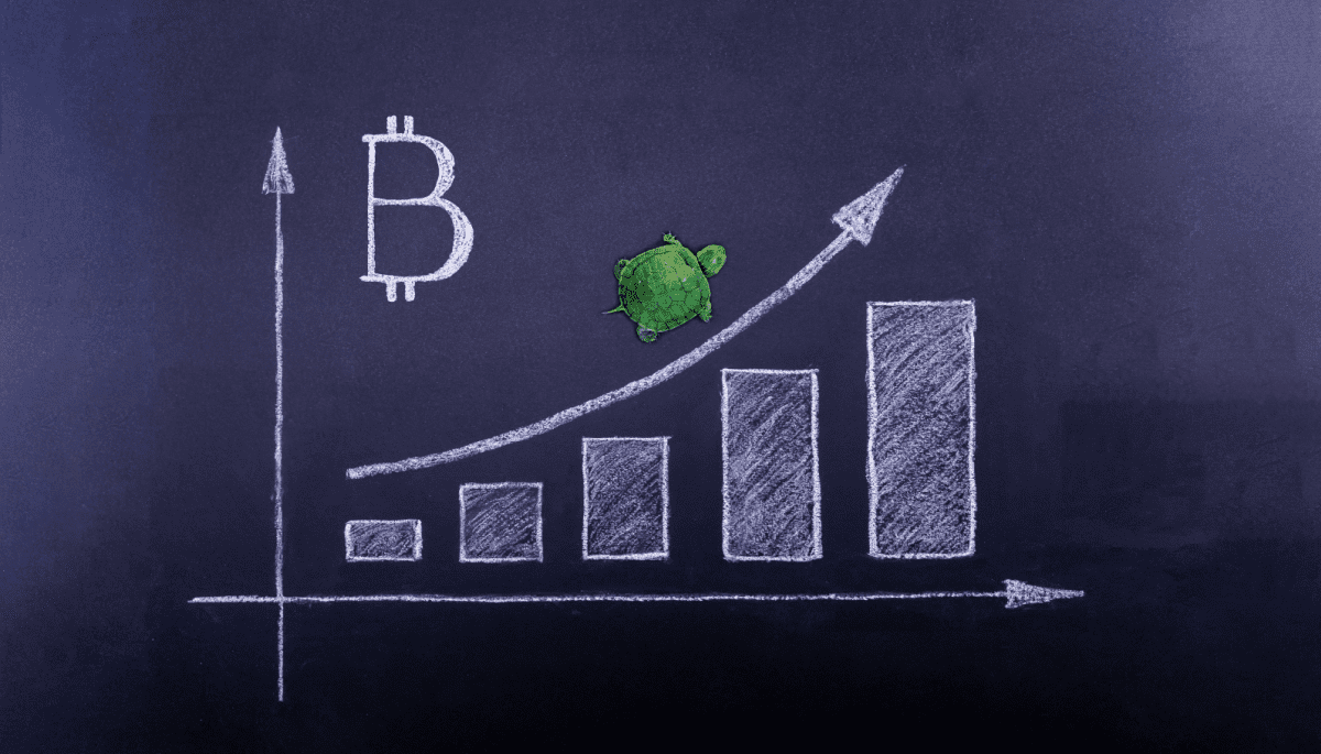 Bitcoin koers steeds stabieler door explosieve groei van ETF's