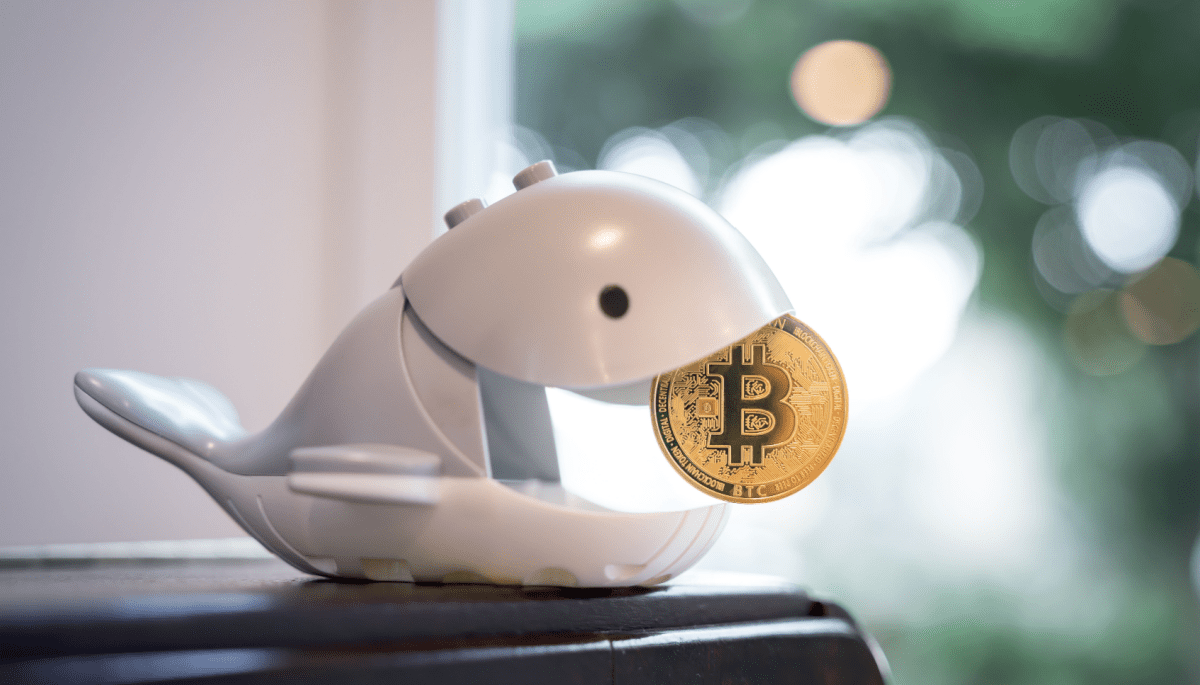Twee bitcoin whales ontwaken na 10 jaar met miljoenenwinst