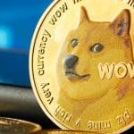 'Dogecoin is niet dood, investeerders nemen weer risico': crypto-analist