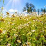 Zomer is de perfecte tijd om crypto te kopen, volgens expert