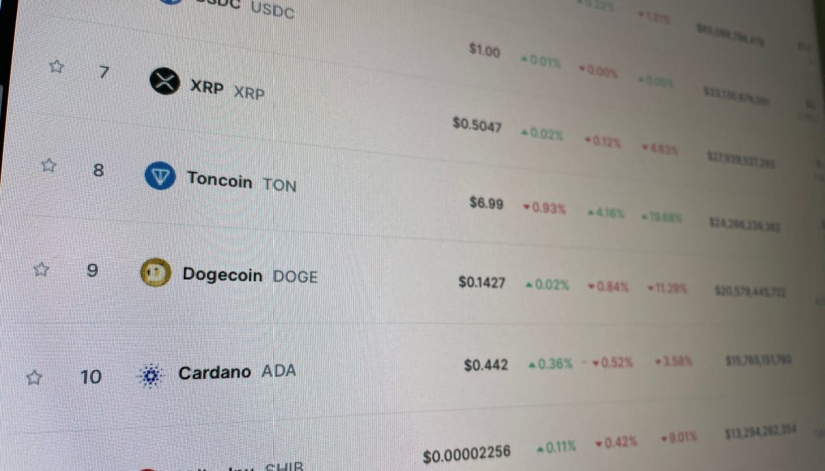 Crypto Radar: Toncoin al 50% in de plus, dit is waarom