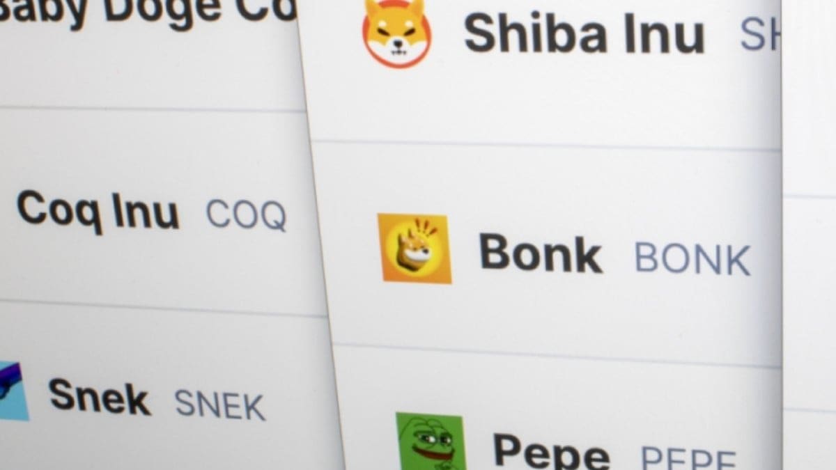 Man verdient bijna €1 miljoen met memecoin, ondanks megacrash