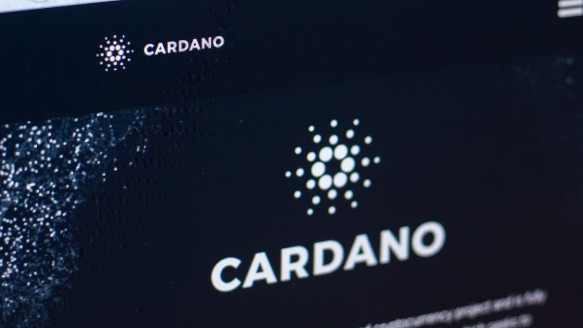 Massale Cardano verkoop: moeten beleggers zich zorgen maken?
