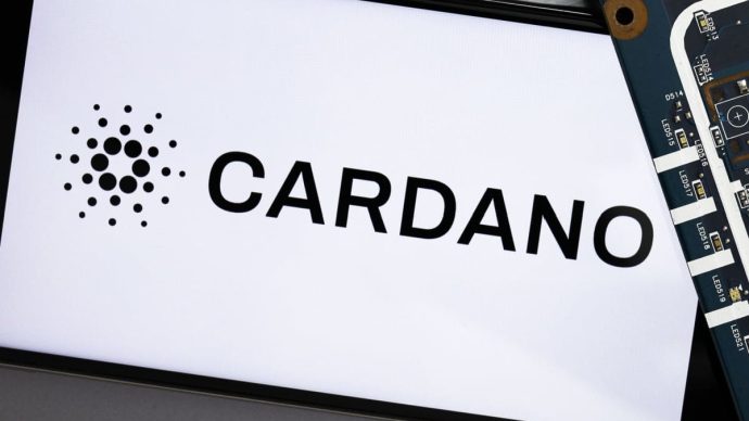Cryptomunt Cardano vangt hardste klap van de dag, maar waarom?
