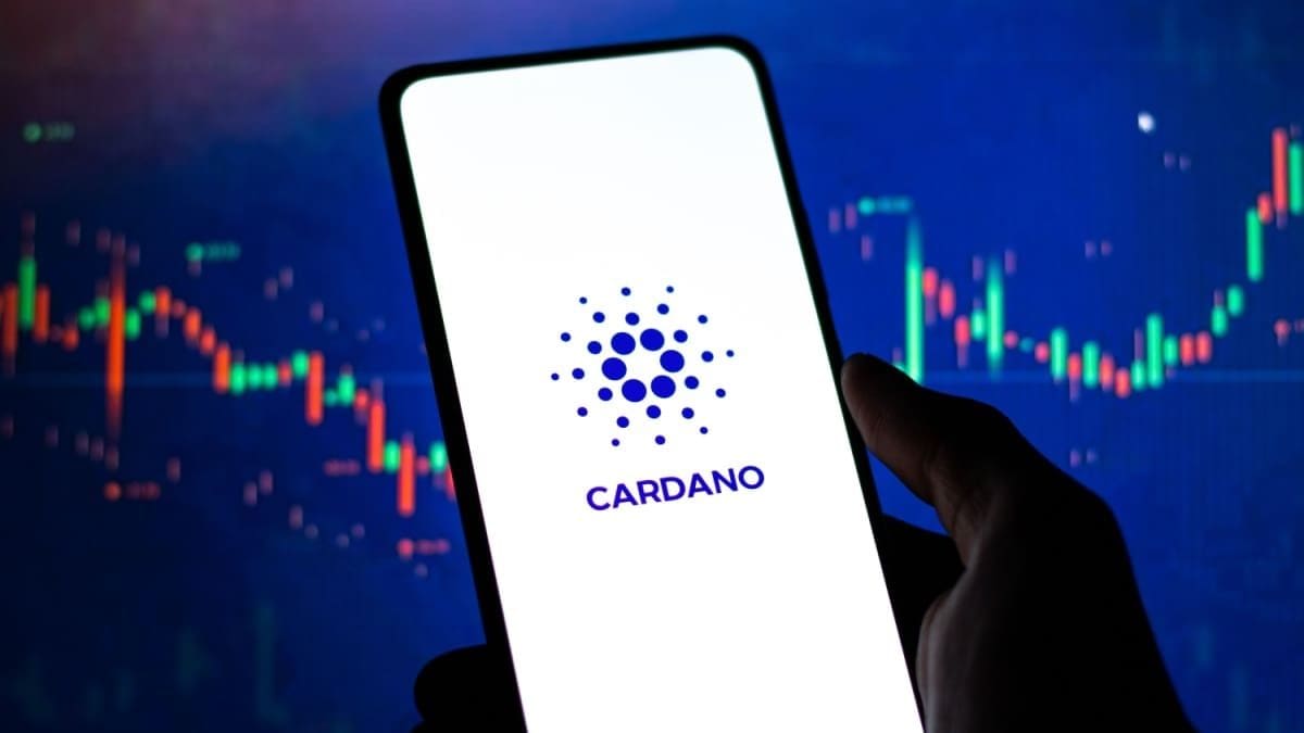 230 miljoen Cardano in beweging door grote beleggers