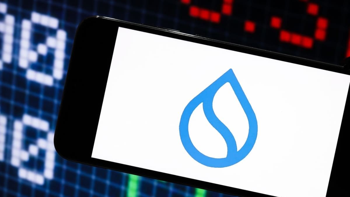 Turbulente weken voor Sui - dit zeggen analisten over de koers