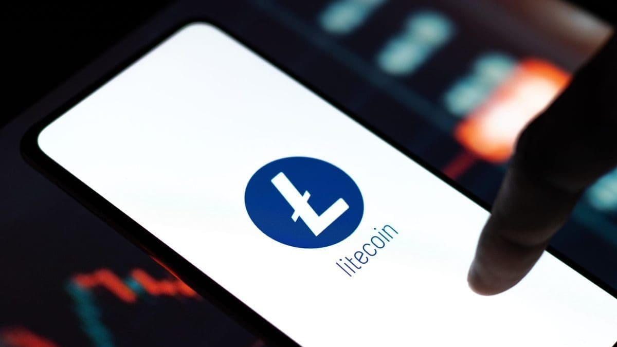 Grote beleggers kopen massaal litecoin terwijl de koers blijft dalen