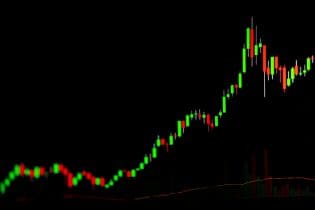 Moo Deng stijgt 170% en Pepe 42%: memecoins exploderen