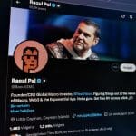 Een afbeelding van het X-account van Raoul Pal
