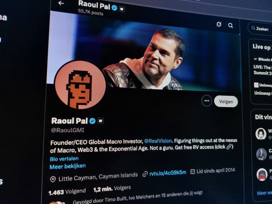 Een afbeelding van het X-account van Raoul Pal