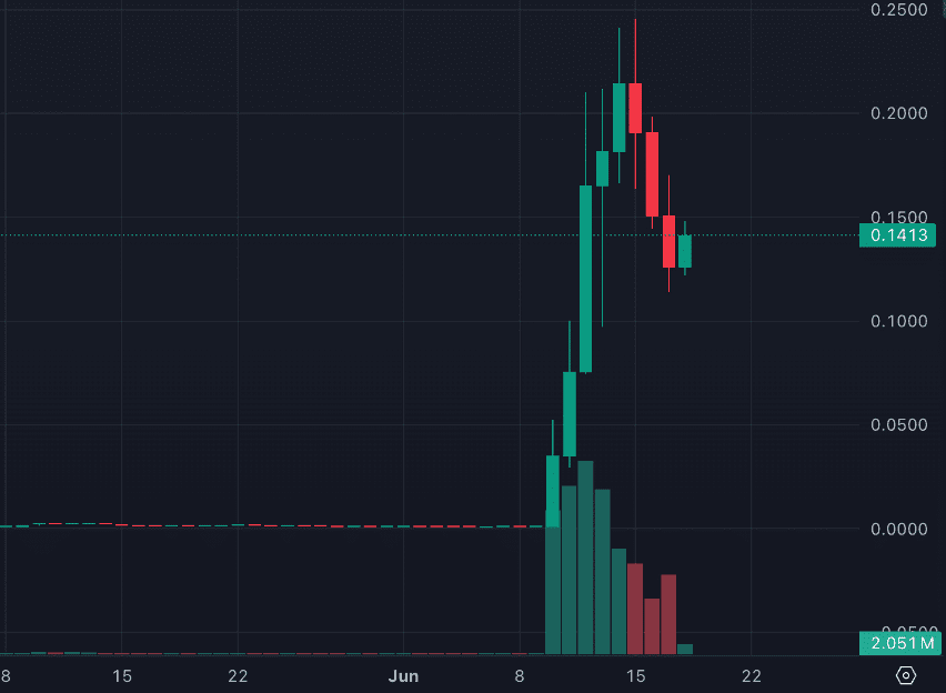 Binnen enkele dagen naar de piek van bijna $ 0,25, waarna de koers weer 50% daalde. Bron: Geckoterminal
