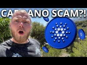 'Cardano is gebakken lucht, en de oprichter is een scammer'