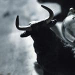 Nederlands crypto-merk gooit het roer om en verloot 'zomaar' bitcoin