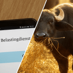 Belastingdienst schrapt mogelijk 'buffelboete' voor 800.000 Nederlanders