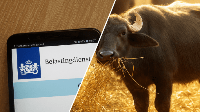 Belastingdienst schrapt mogelijk 'buffelboete' voor 800.000 Nederlanders