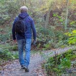 Een afbeelding van een man die een wandelpad door een bos aflegt in Zuid Limburg, Nederland