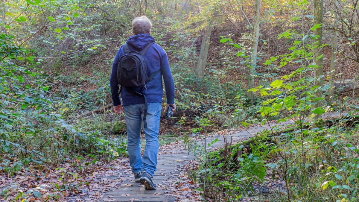 Een afbeelding van een man die een wandelpad door een bos aflegt in Zuid Limburg, Nederland