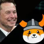 Memecoins slaan op hol na filmpje van Elon Musk: ‘Ik ben grappig’