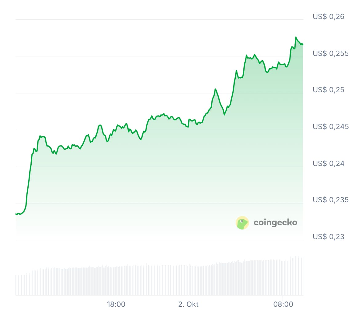 DOGE/USD koersgrafiek van de afgelopen 24 uur. Bron: CoinGecko