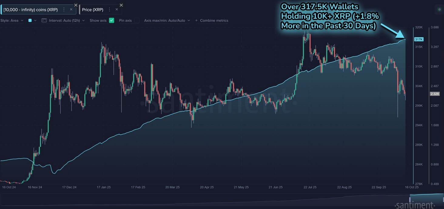 Aantal XRP whales