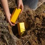 Een afbeelding van een persoon die goudstaven begraaft op opgraaft uit een tuin