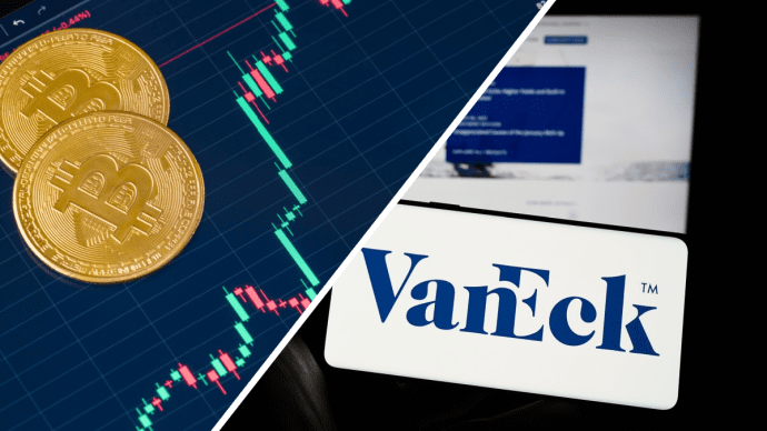 Baas van gigantische vermogensbeheerder: 'als het moet gaan wij door zonder Bitcoin'