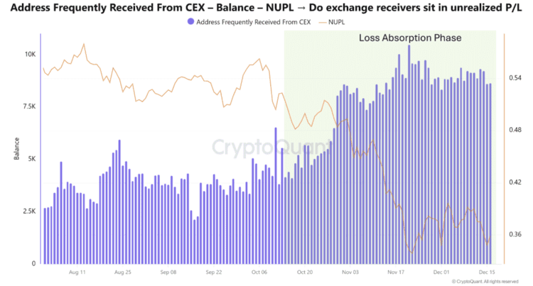 Bitcoin-verliesabsorptiefase. Bron: CryptoQuant