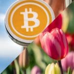 Topanalist vergelijkt crypto en Hollandse tulpenmanie: “Bitcoin is een ander beest”