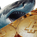 Bitcoin shark slaat toe