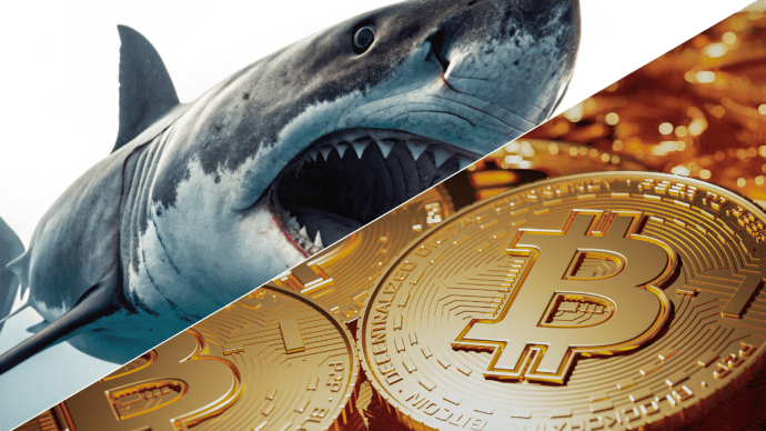 Bitcoin shark slaat toe