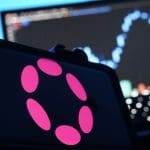 Polkadot blinkt uit: waarom deze cryptomunt stijgt terwijl de rest stilstaat