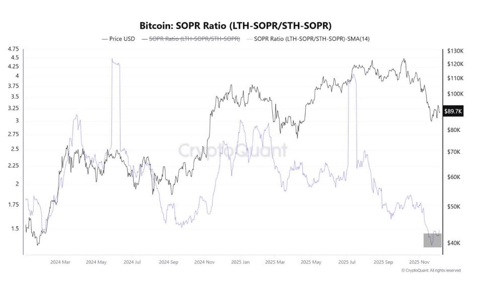 Lange en korte termijn houders van Bitcoin
