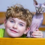 Nieuw jaar, vreemde wetten: dit mag en kan ineens niet meer