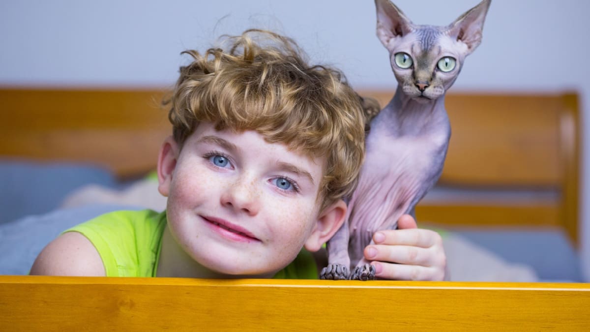 Nieuw jaar, vreemde wetten: dit mag en kan ineens niet meer