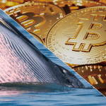 Foto van bitcoin munten en een walvis