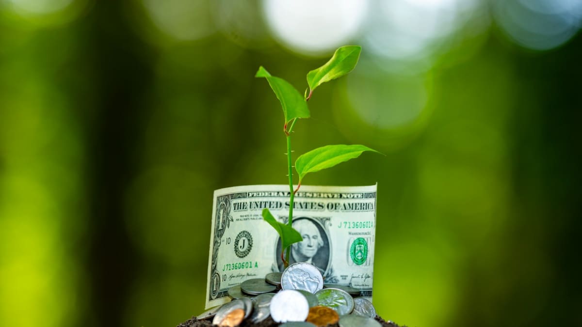 Zo werkt de spaarrekening van de nieuwe generatie