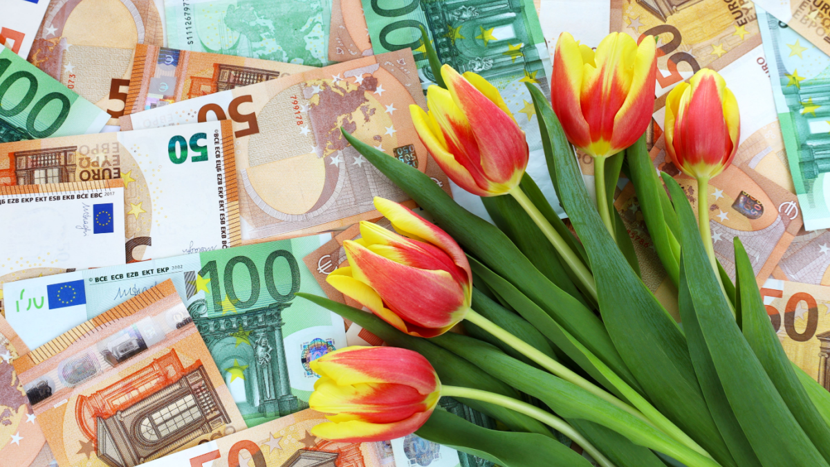 Tulpen en eurobiljetten