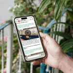 Whatsapp kanaal crypto insiders