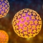 Afbeelding van het Hantavirus