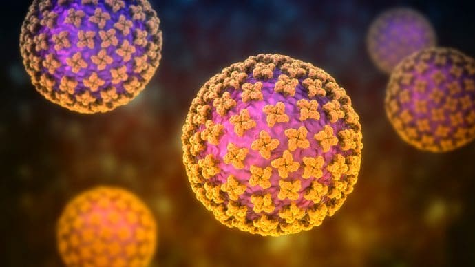 Afbeelding van het Hantavirus