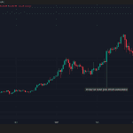 Uitgezocht: Elon Musk ‘moet’ bitcoin accepteren en het effect op de koers