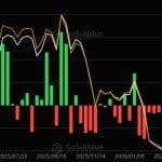 Bitcoin-fondsen boeken slechtste week sinds januari: “koopsignaal”