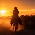 Een afbeelding van een cowboy met op de achtergrond een zonsondergang