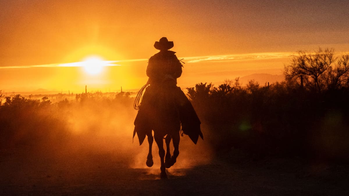 Een afbeelding van een cowboy met op de achtergrond een zonsondergang