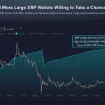 XRP breekt historisch record: nooit eerder zoveel grote wallets